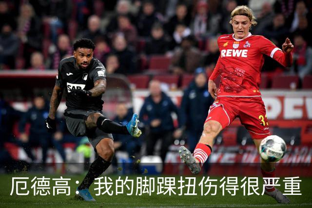 厄德高：我的脚踝扭伤得很严重